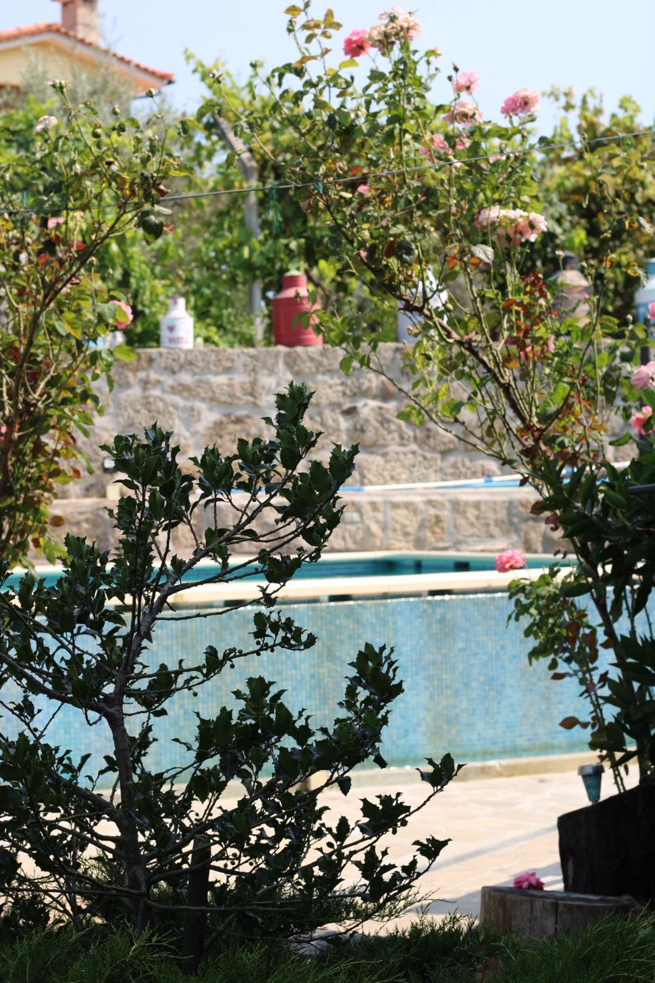 Bed and Breakfast Casa Da Aldeia Da Avo Valpaços Exterior foto